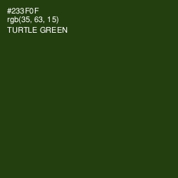 #233F0F - Turtle Green Color Image